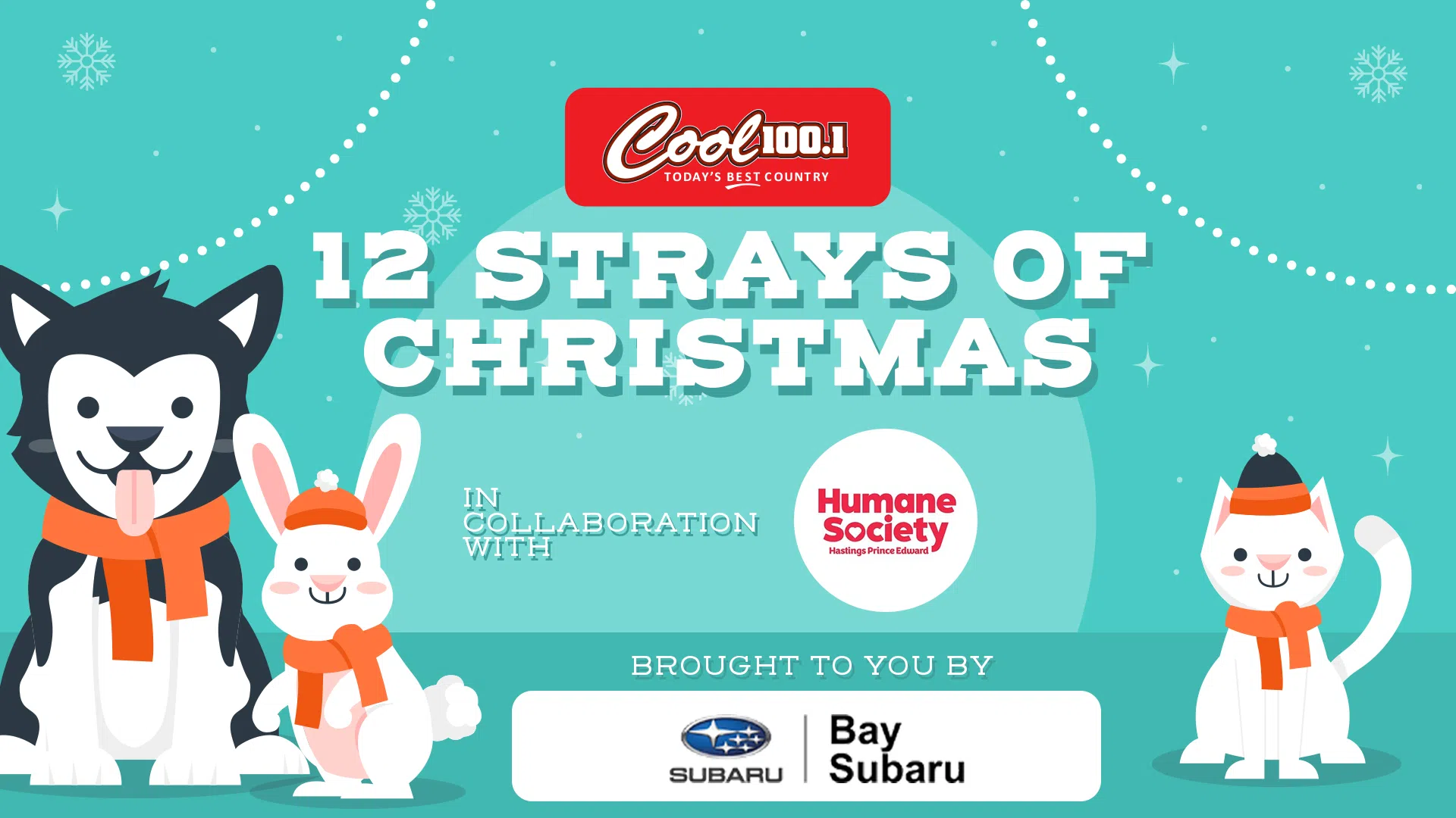 Feature: https://www.cool100.ca/12-strays-of-christmas-2025/