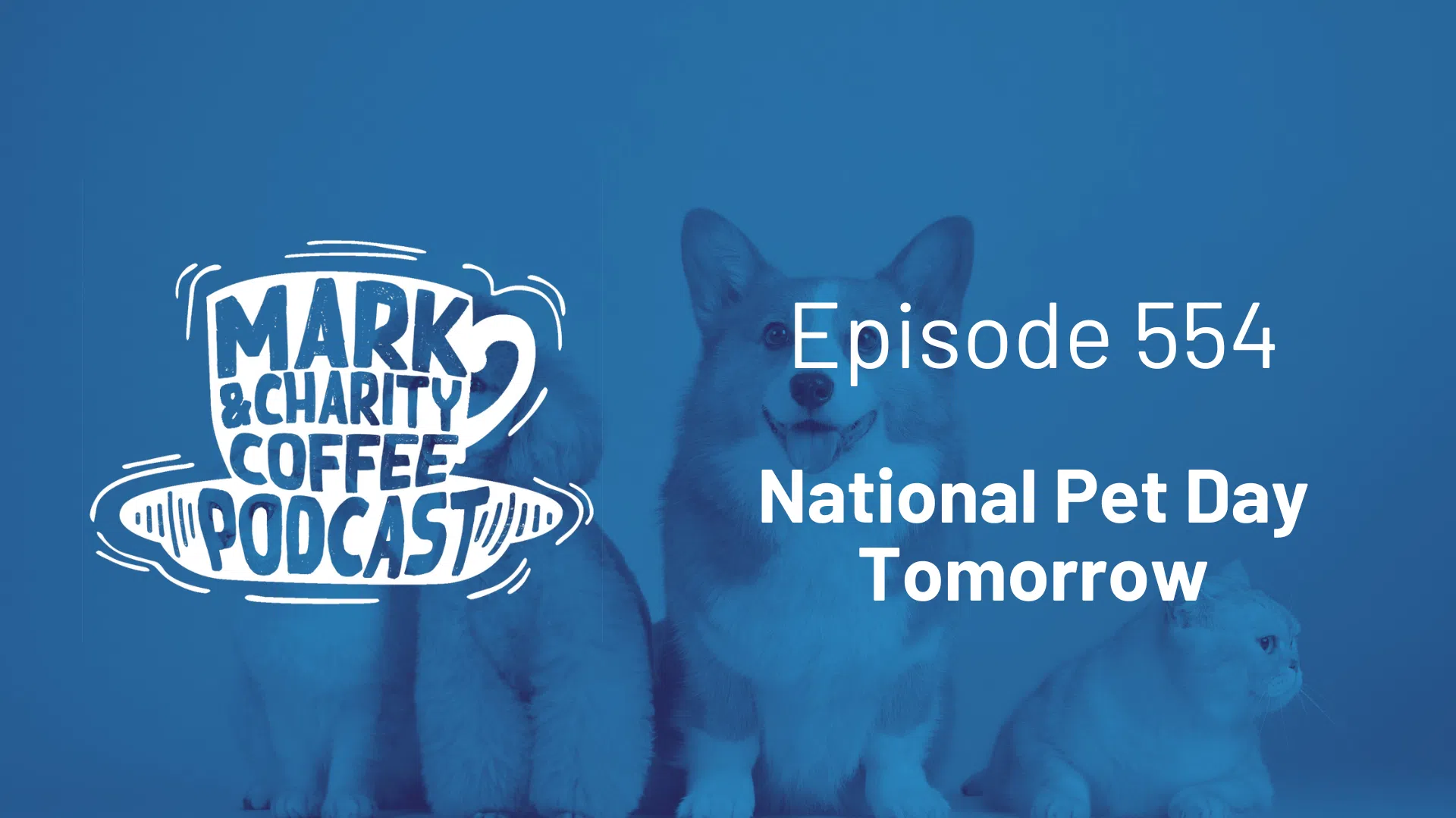 National Pet Day Tomorrow | Hits 95.5