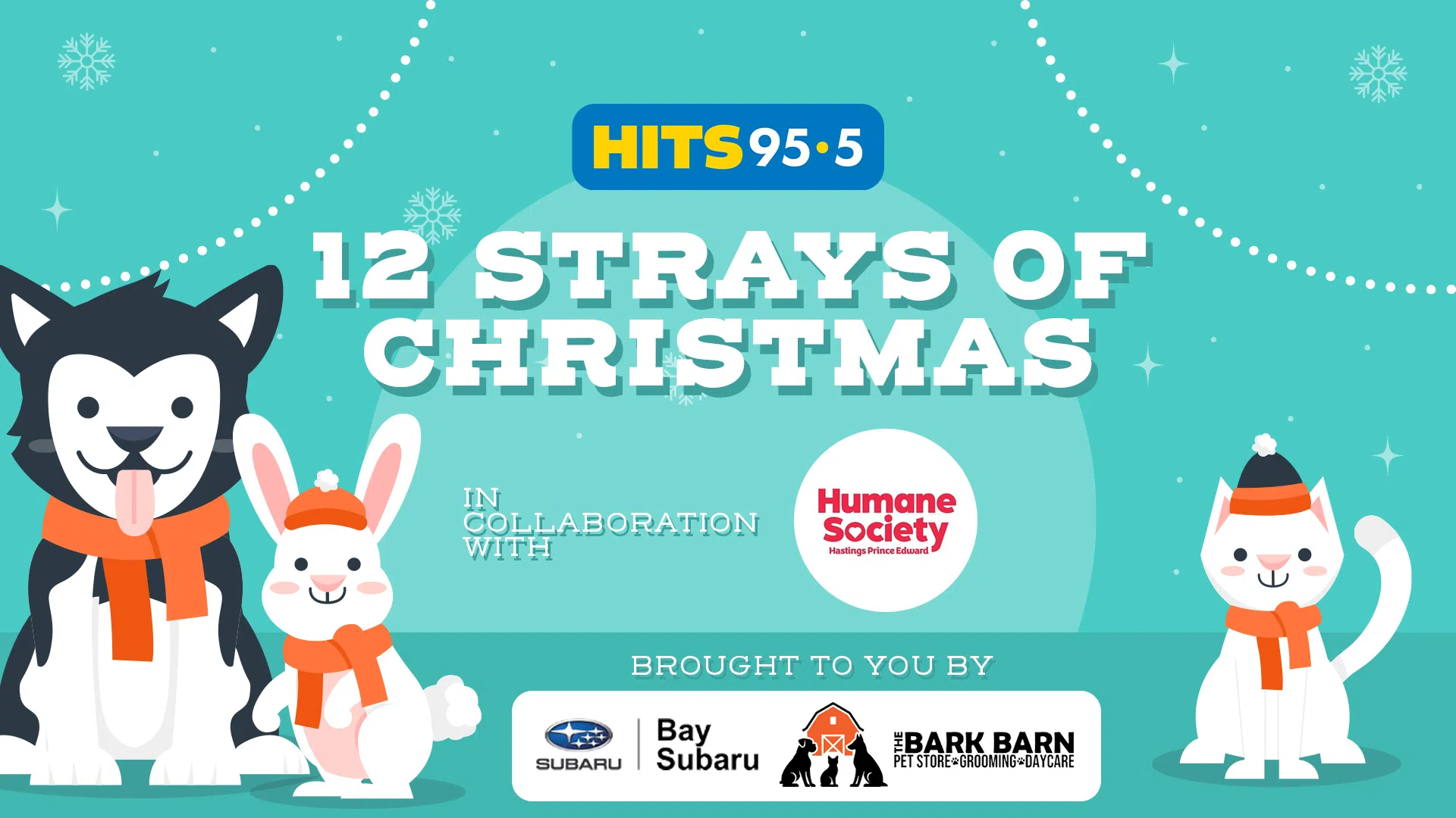 Feature: https://www.hits955.ca/12-strays-of-christmas/