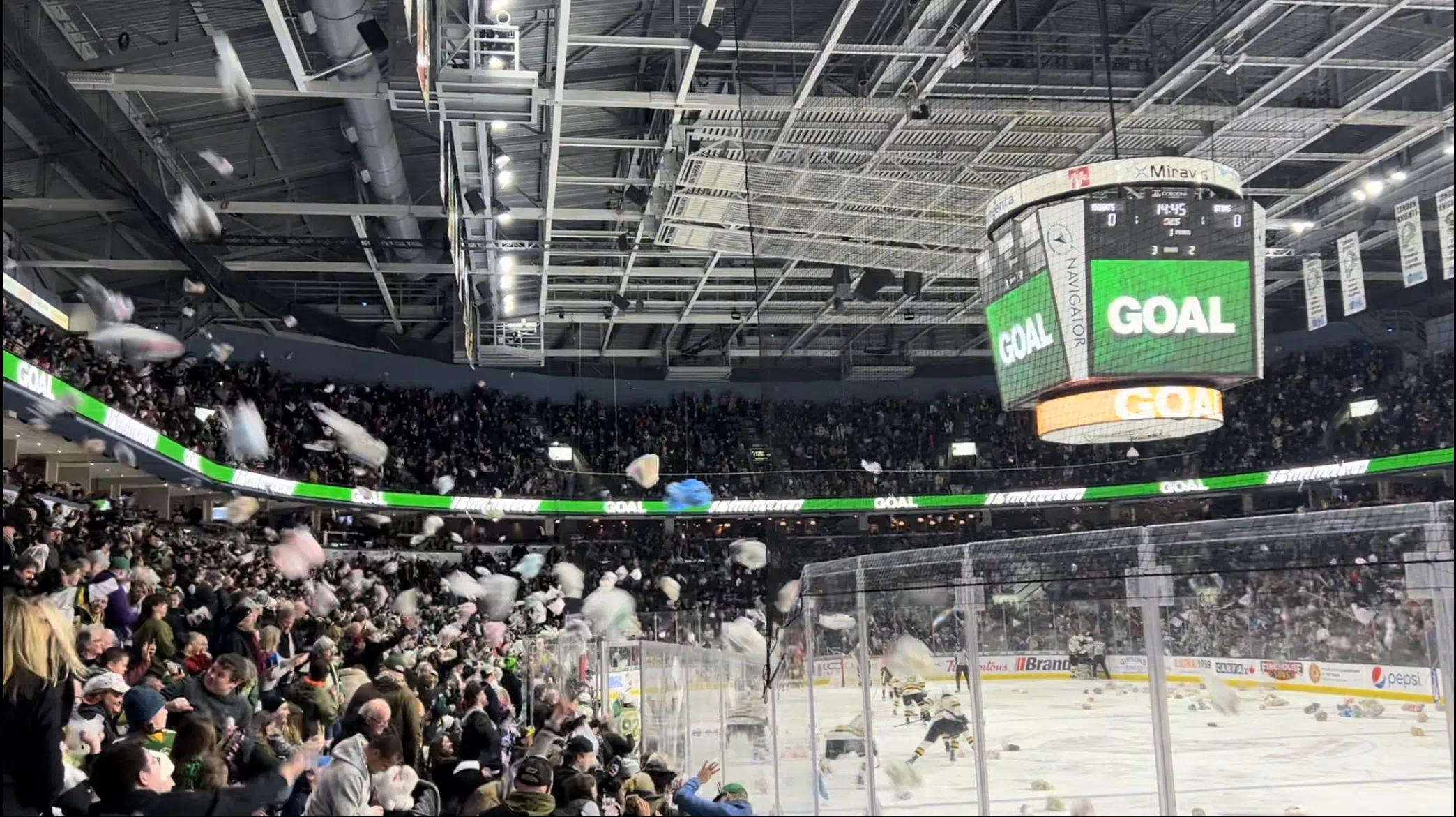 London Knights break Teddy bear toss record