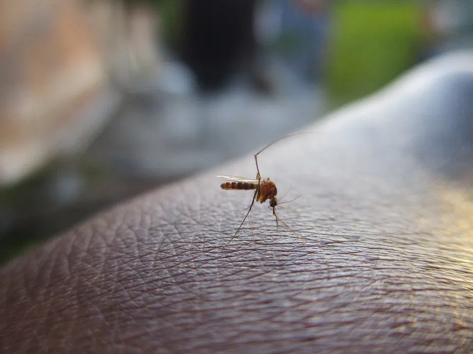 MLHU confirms West Nile virus in London