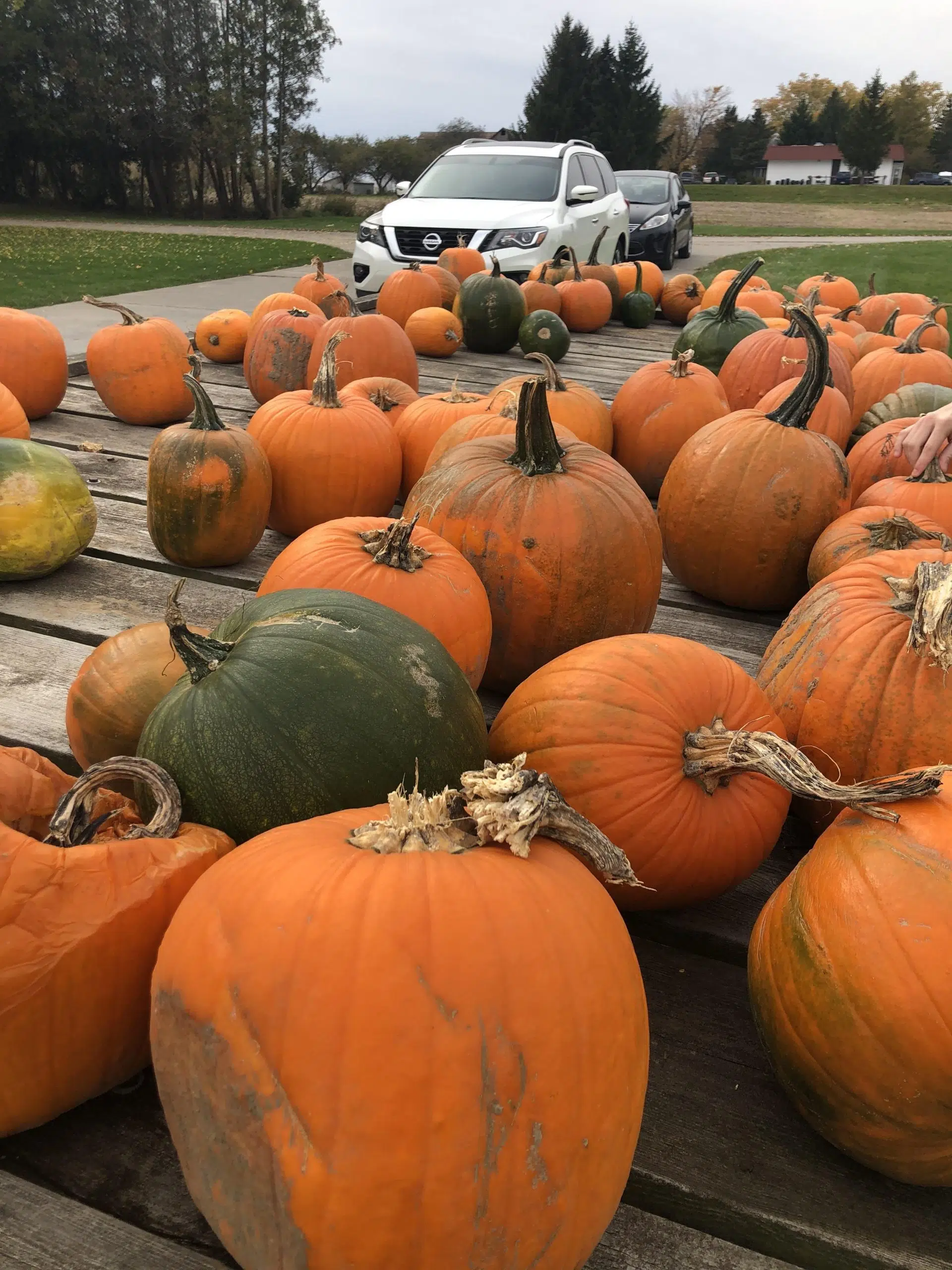 Why is Halloween so Appealing? 106.9 The X