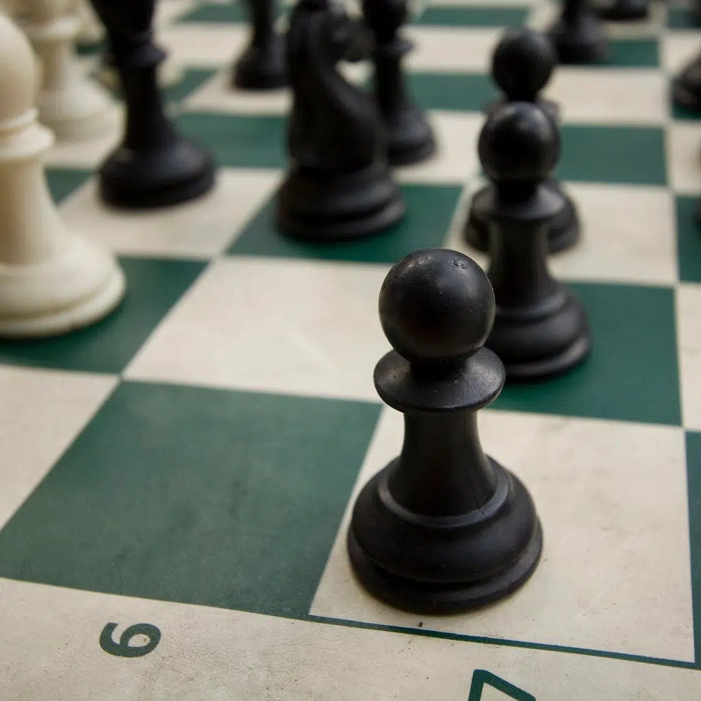 Brain Study Shows Grandmaster Chess Players Think Differently Than