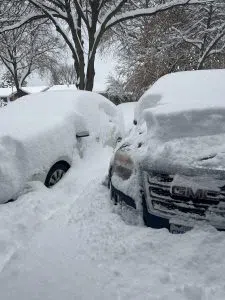 Snowfall overnight in London - Photo Credit: Briar Wilson 