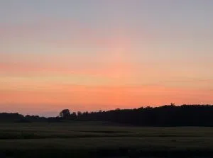 Heat Warning in effect for London - Photo by Daniel Monroy XFM News