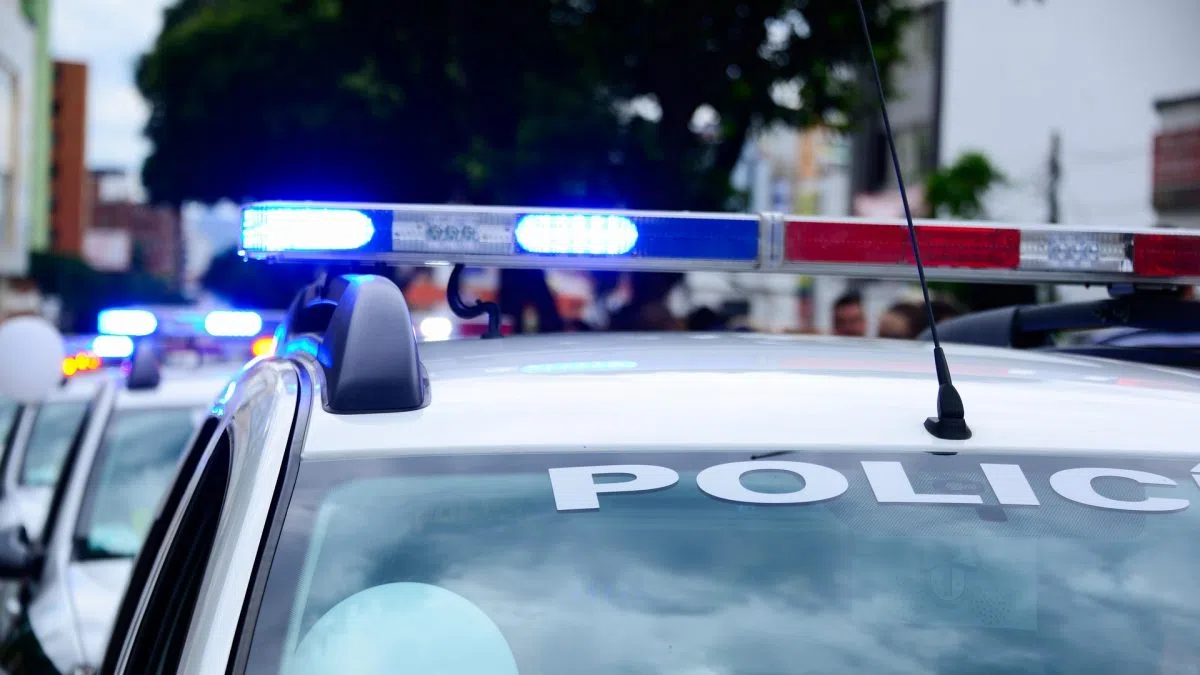 Goderich Woman Charged with Criminal Negligence After Second Dog Attack Injures Resident, Kills Dog