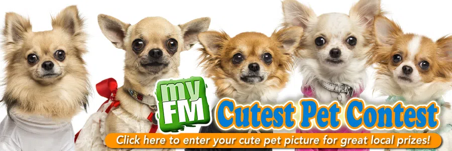 myFM Cutest Pet