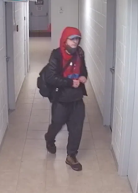 Suspect Sought After By Kingston Police Following Break And Enters ...