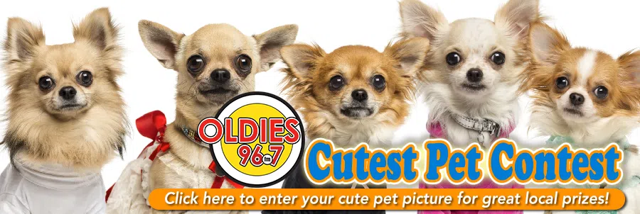 Oldies 96.7 Cutest Pet