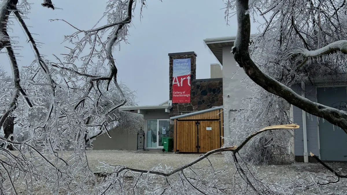 Ontario launches financial aid programs for communities hit by March ice storm