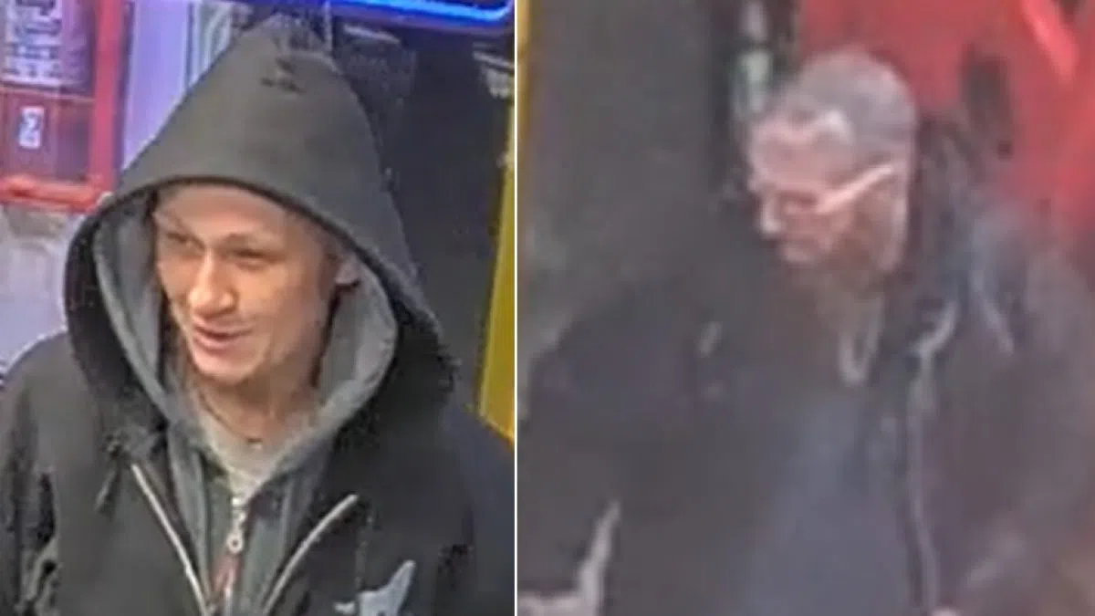 OPP investigating multiple break-ins and stolen vehicle in Roseneath