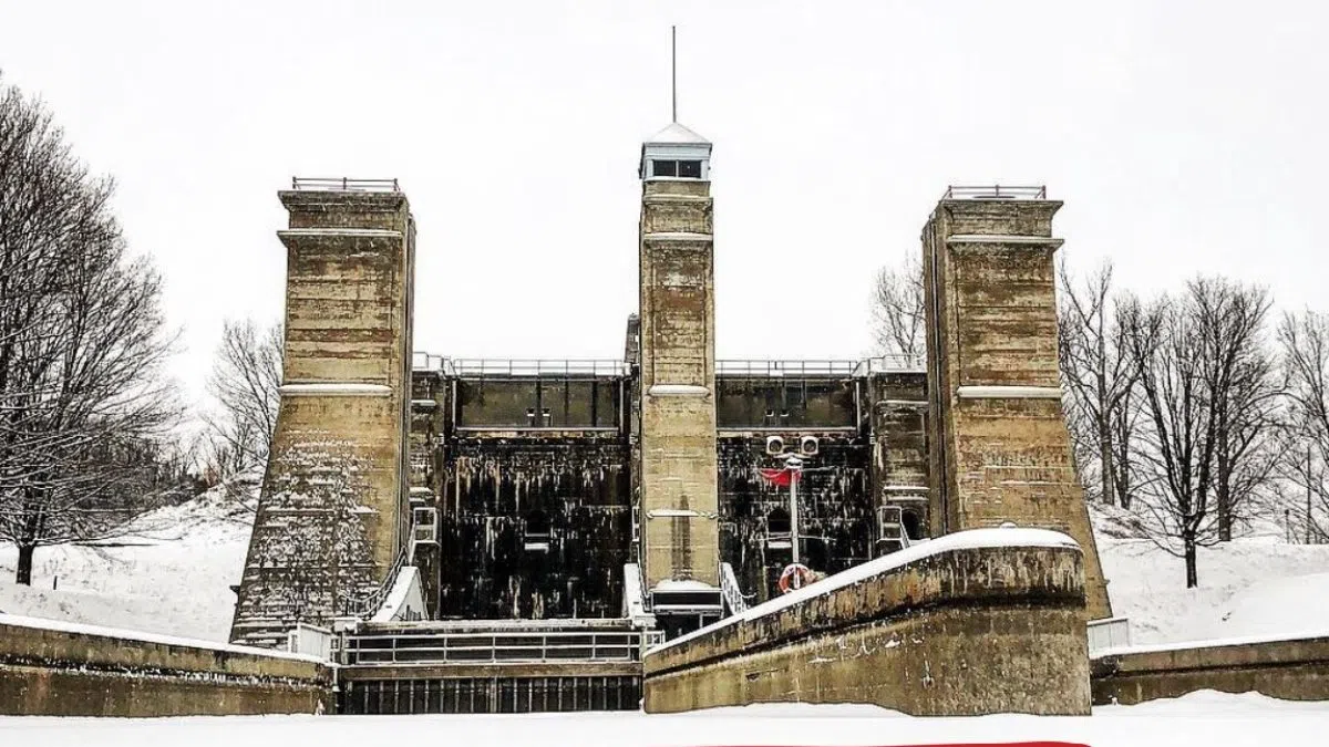 Peterborough marks Black History Month with community events