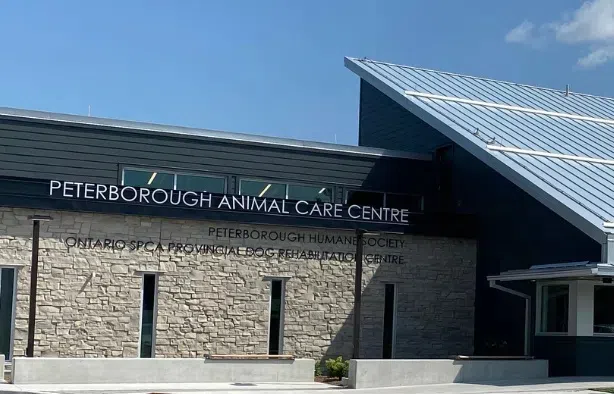 VOLUNTEER APPRECIATION DAY: Rhonda Dobranic, Peterborough Humane Society