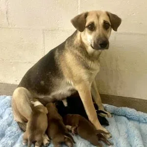 Mama Emma