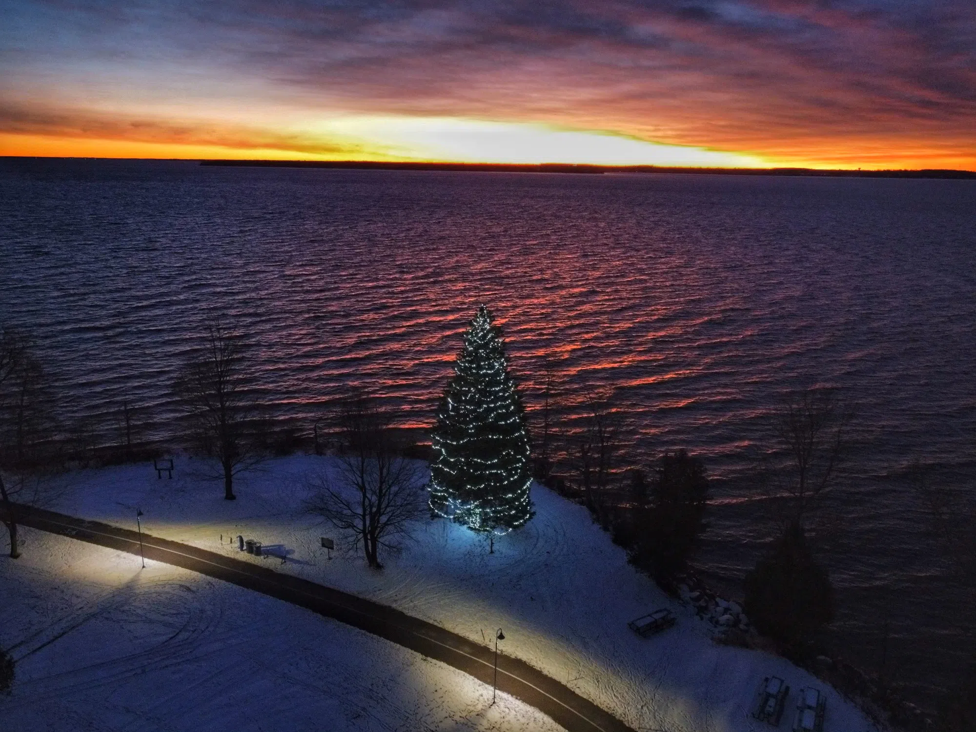 The Hope Tree Lights the Way for Another Year