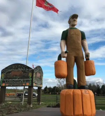 Gourds for Giving: Bailey Creek Farm
