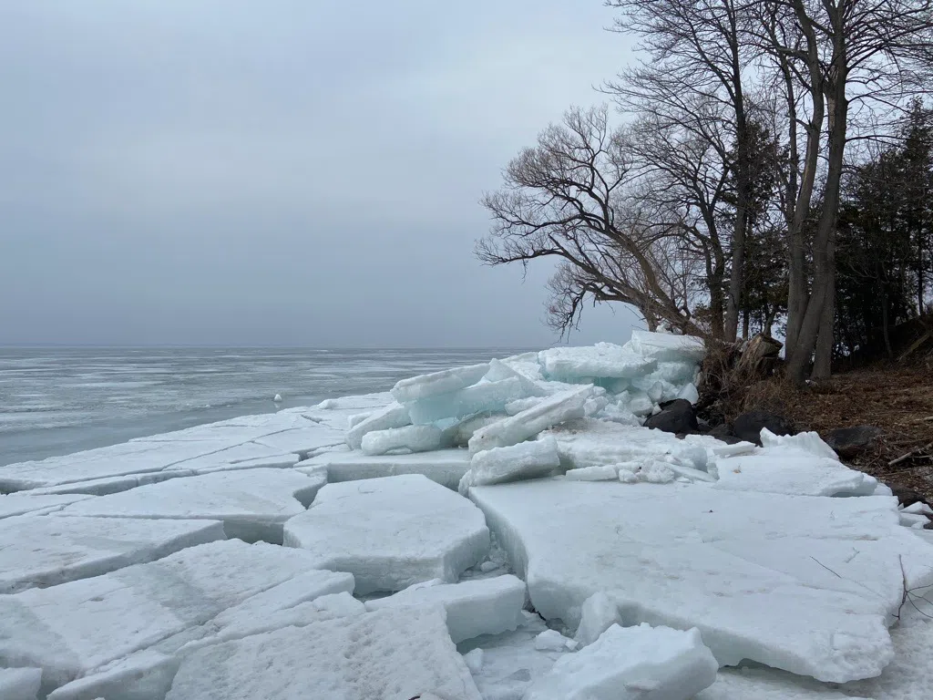 Bradford West Gwillimbury launching project to help clean Lake Simcoe