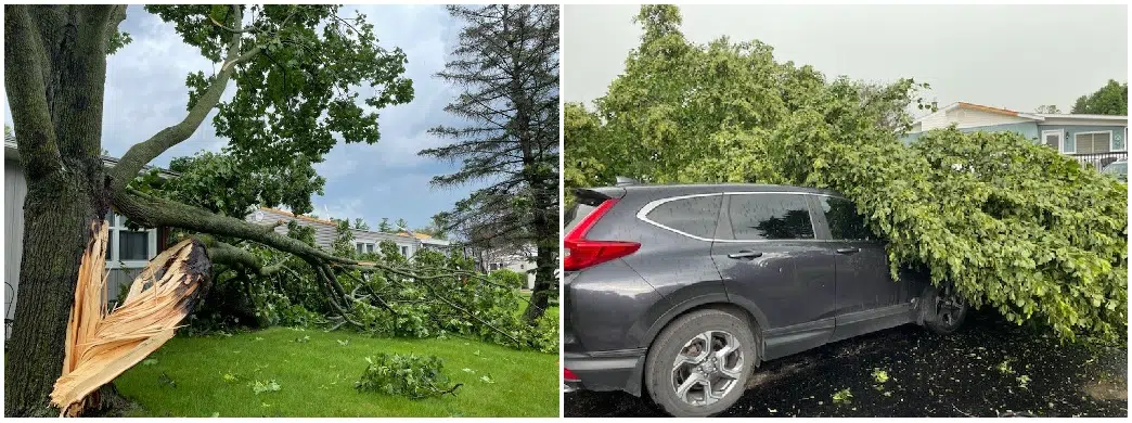 Tornado: Innisfil the Day After