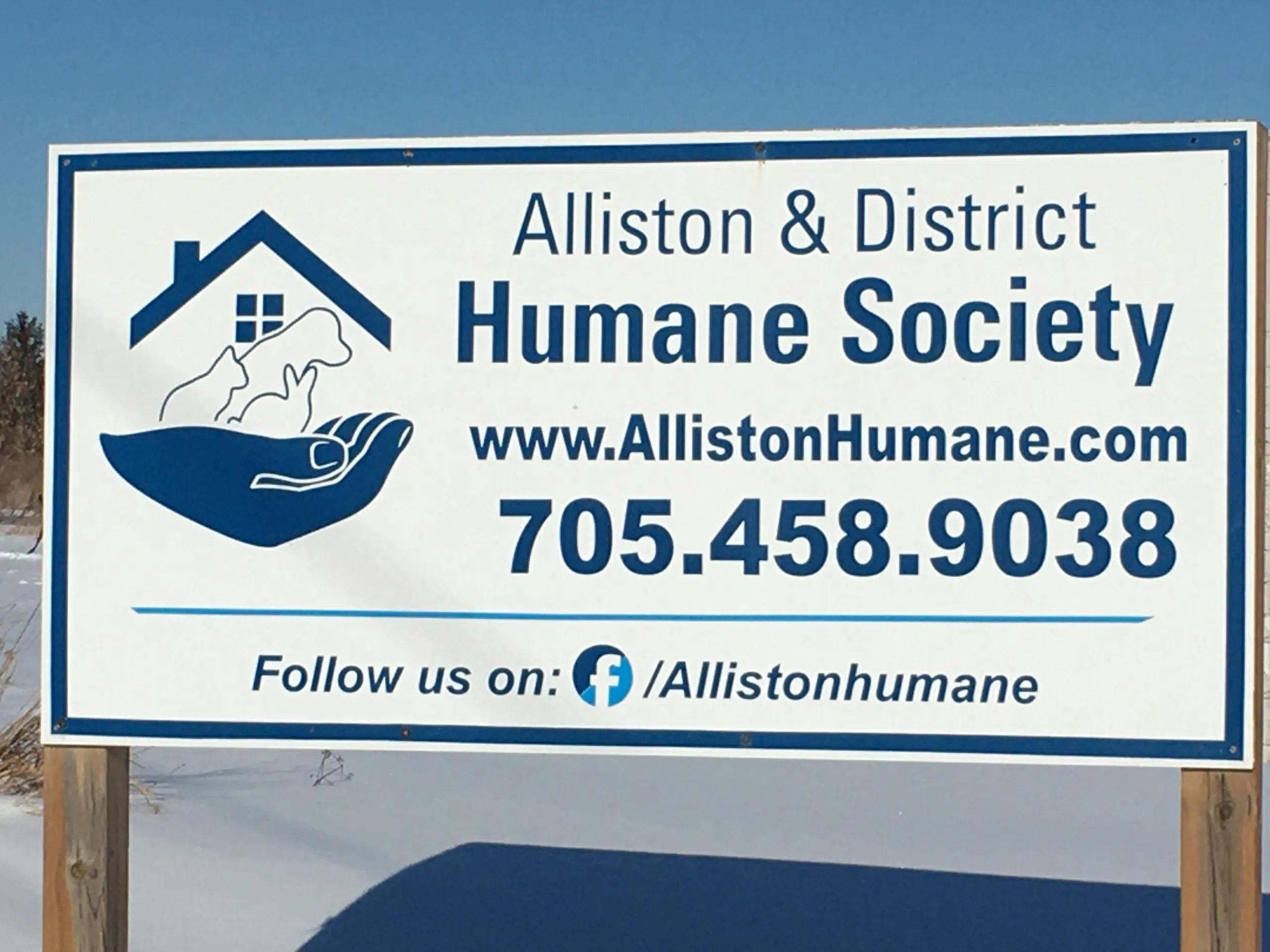 Meet: Alliston & District Humane Society Pets