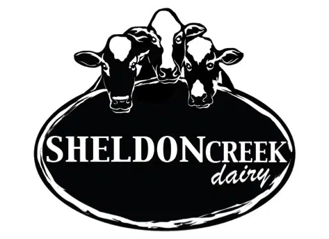 Say Hi to the Cows at Sheldon Creek Dairy | FM92 South Simcoe Today