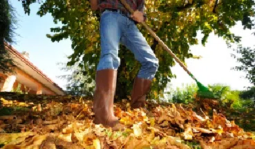 Leaf and Yard Waste Collection returns next week