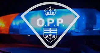 No Sign of Foul Play after Body Discovered in Barrie
