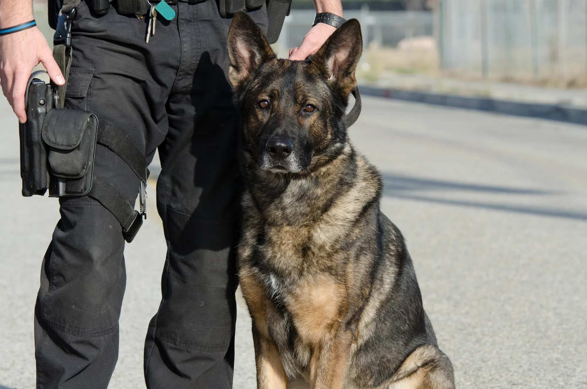 Learn about the Barrie Police with Citizen Academy