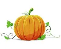 Pumpkin Fest Taking Place in Bradford