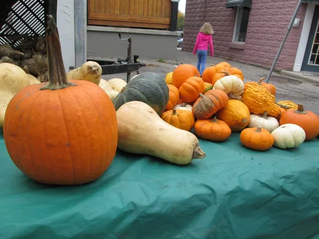 Pumpkin Fest returning to BWG for another year!