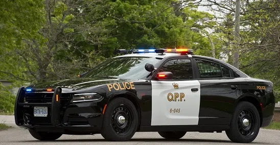 Automated License Plate Recognition alert catches driver breaking probation order