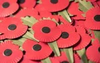 Poppy of Remembrance at Innisfil ideaLAB & Library