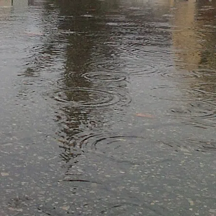 Watershed Conditions Statement In Effect