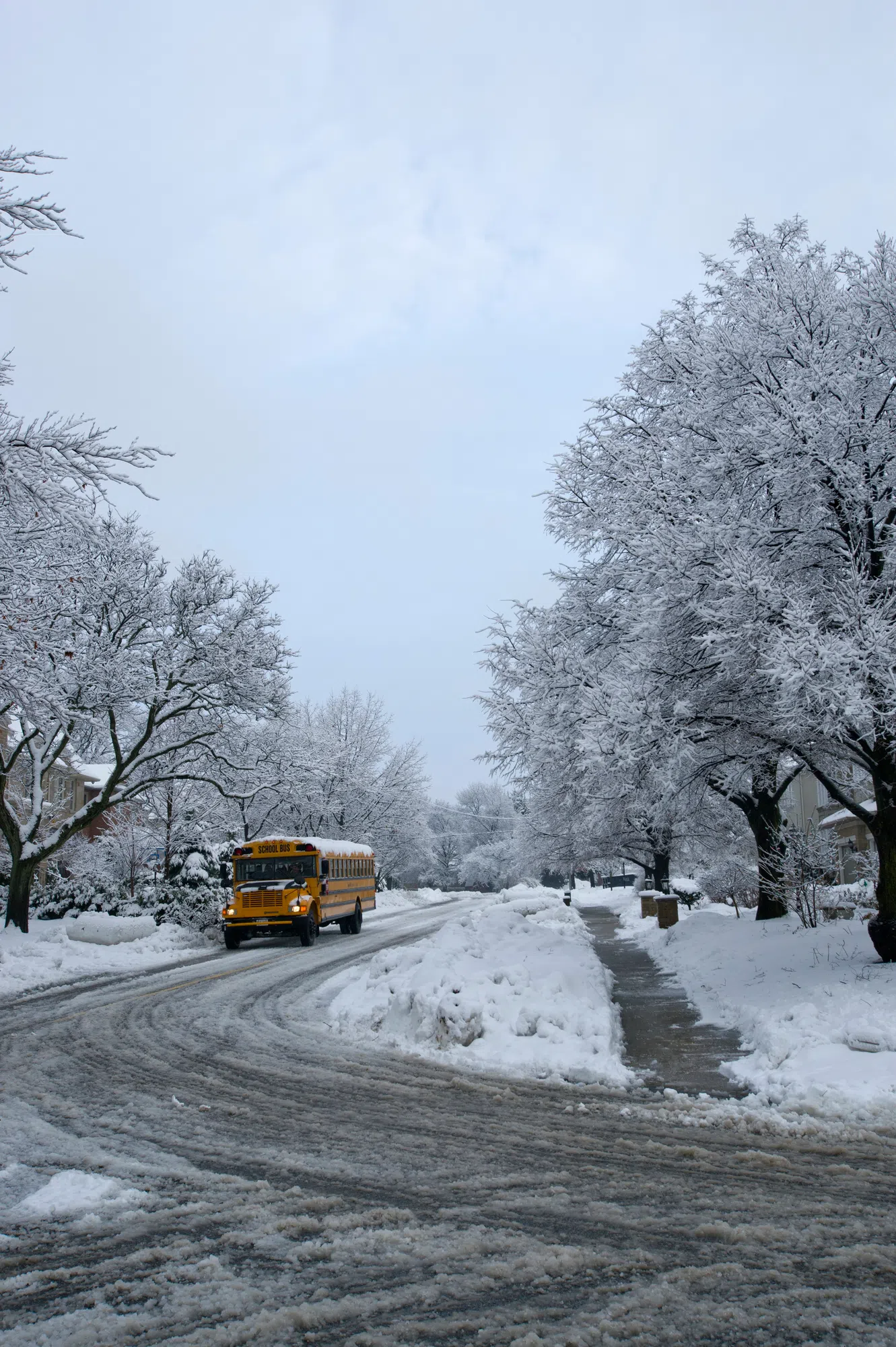 No schools buses on the road this morning