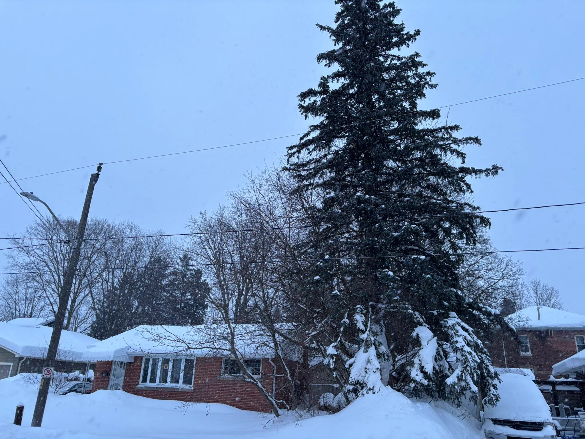 South Simcoe forecast for Thursday, February 20th