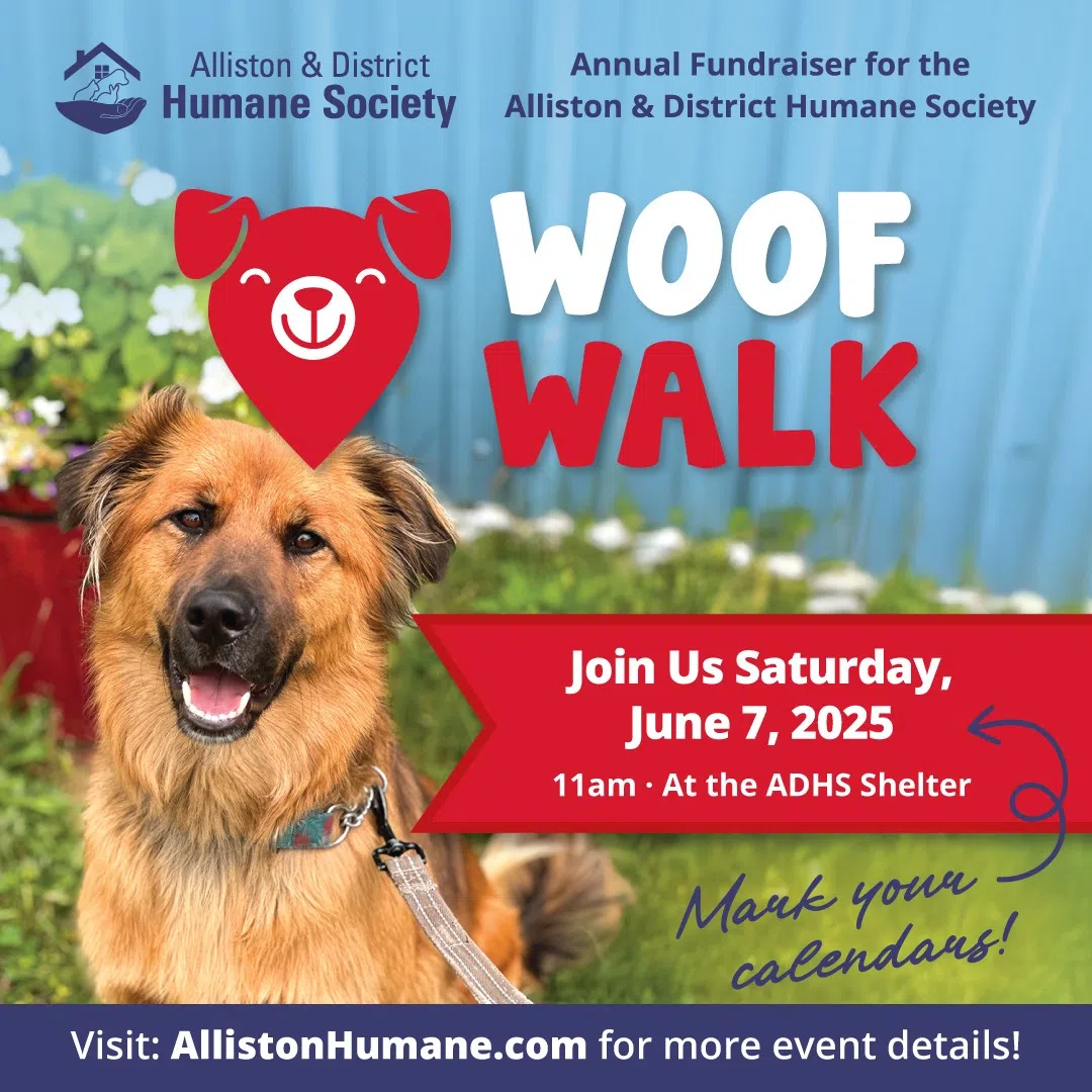 Alliston & District Humane Society Woof Walk!