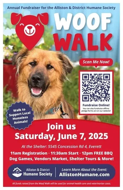 Support Local Animals At the Annual Woof Walk
