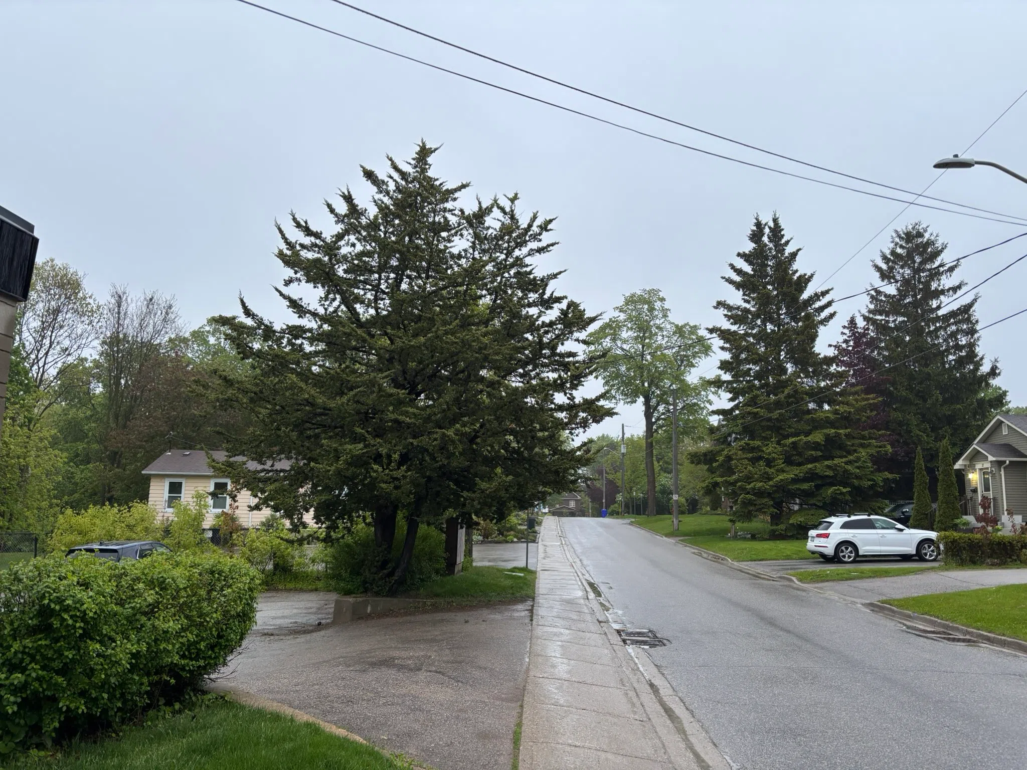South Simcoe forecast for Thursday, May 22nd