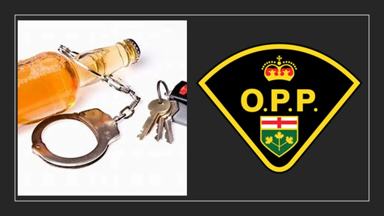 Charges Laid After Vehicle Found In The Ditch