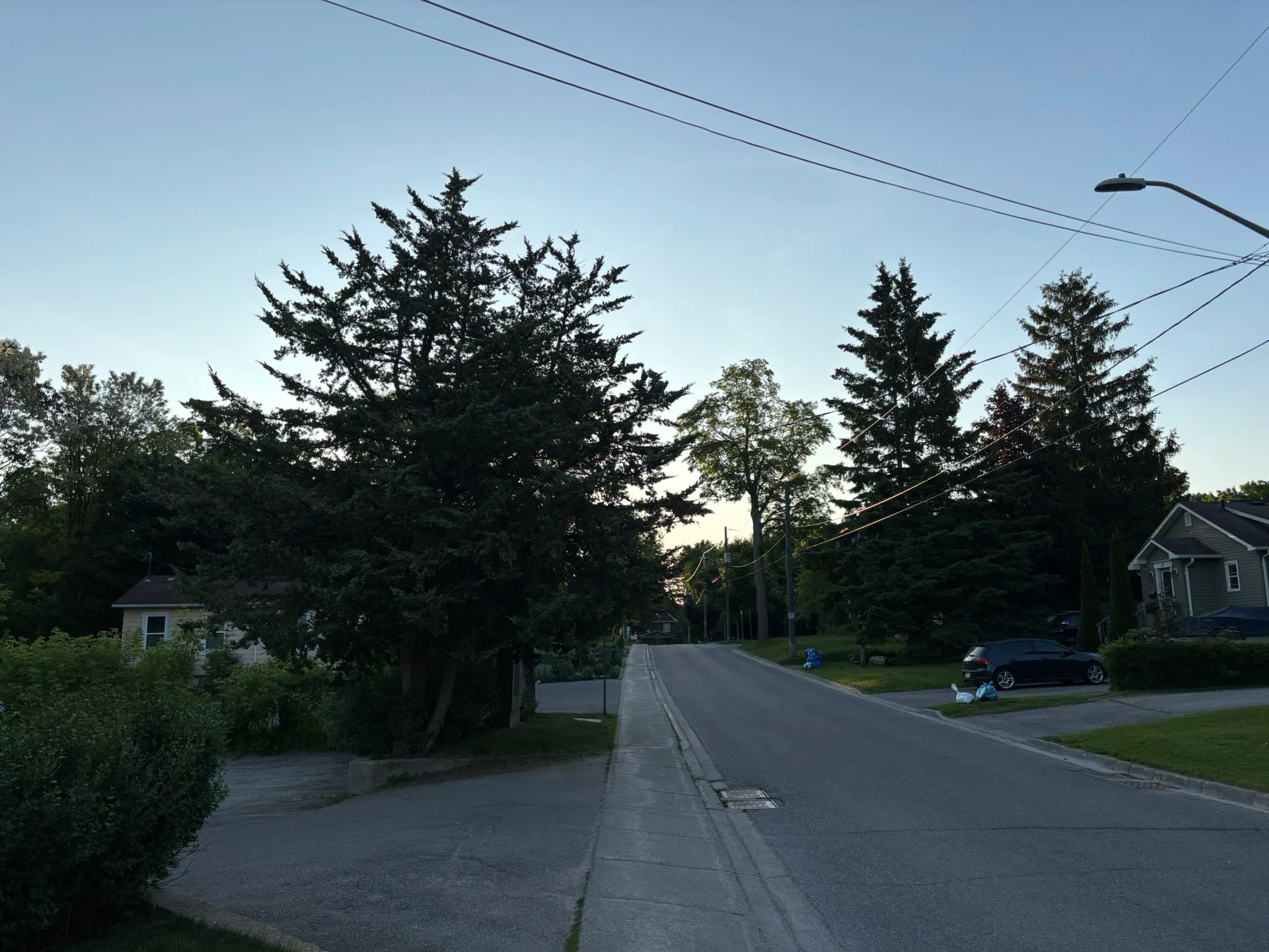 South Simcoe forecast for Monday, June 16th