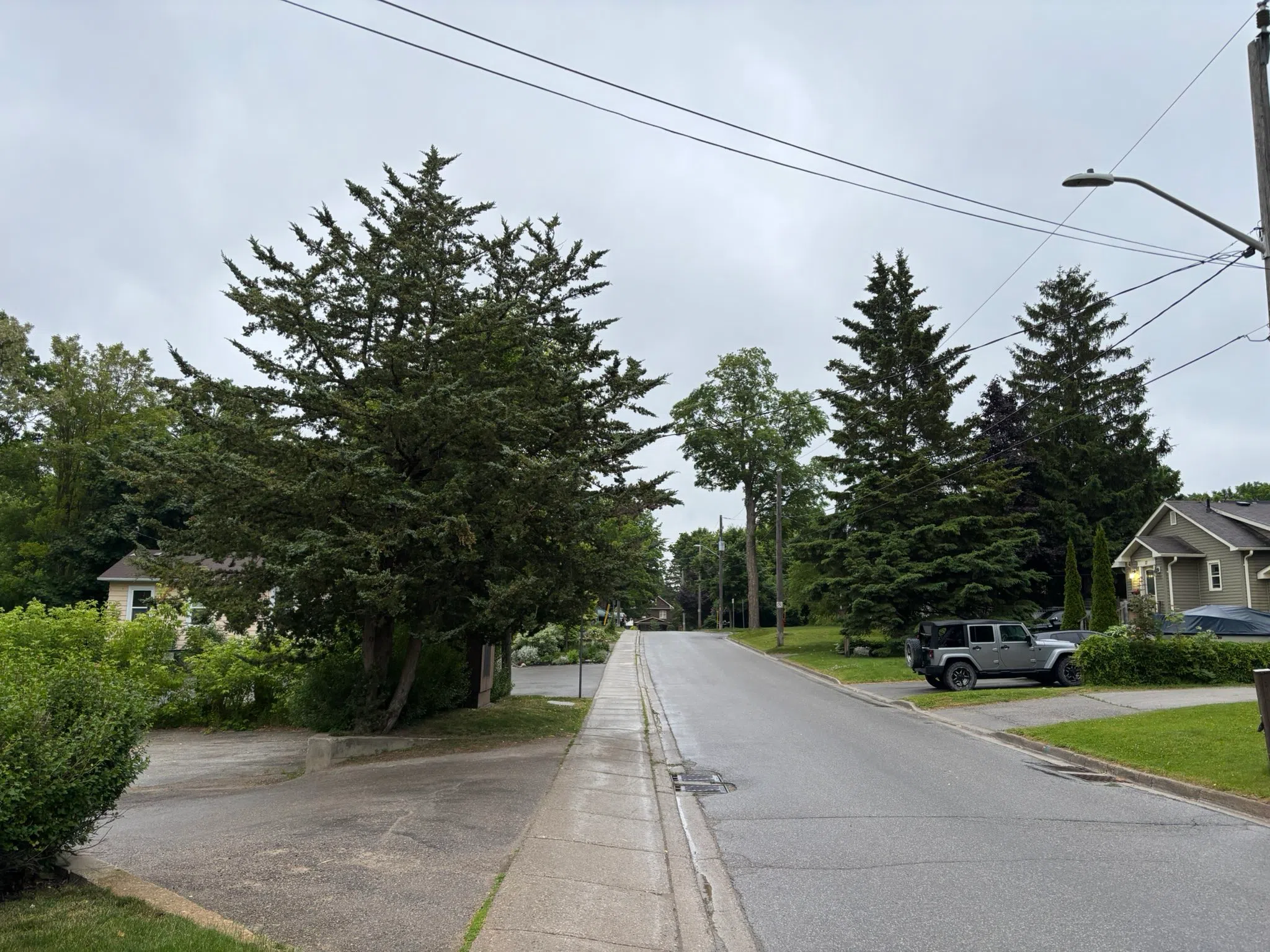 South Simcoe forecast for Thursday, June 19th