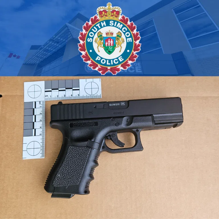 Seizure of replica handgun leads to warning by police