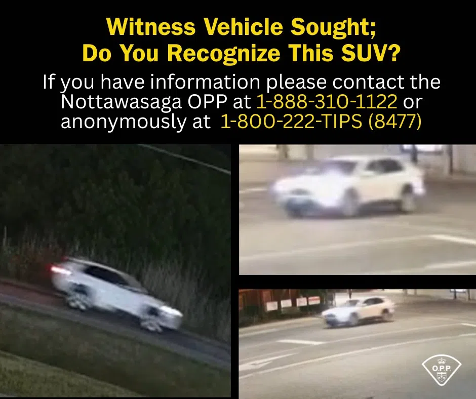 Police Seek Witness in Fatal Hit-and-Run on Highway 89