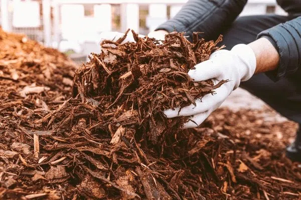 Free Mulch in New Tecumseth