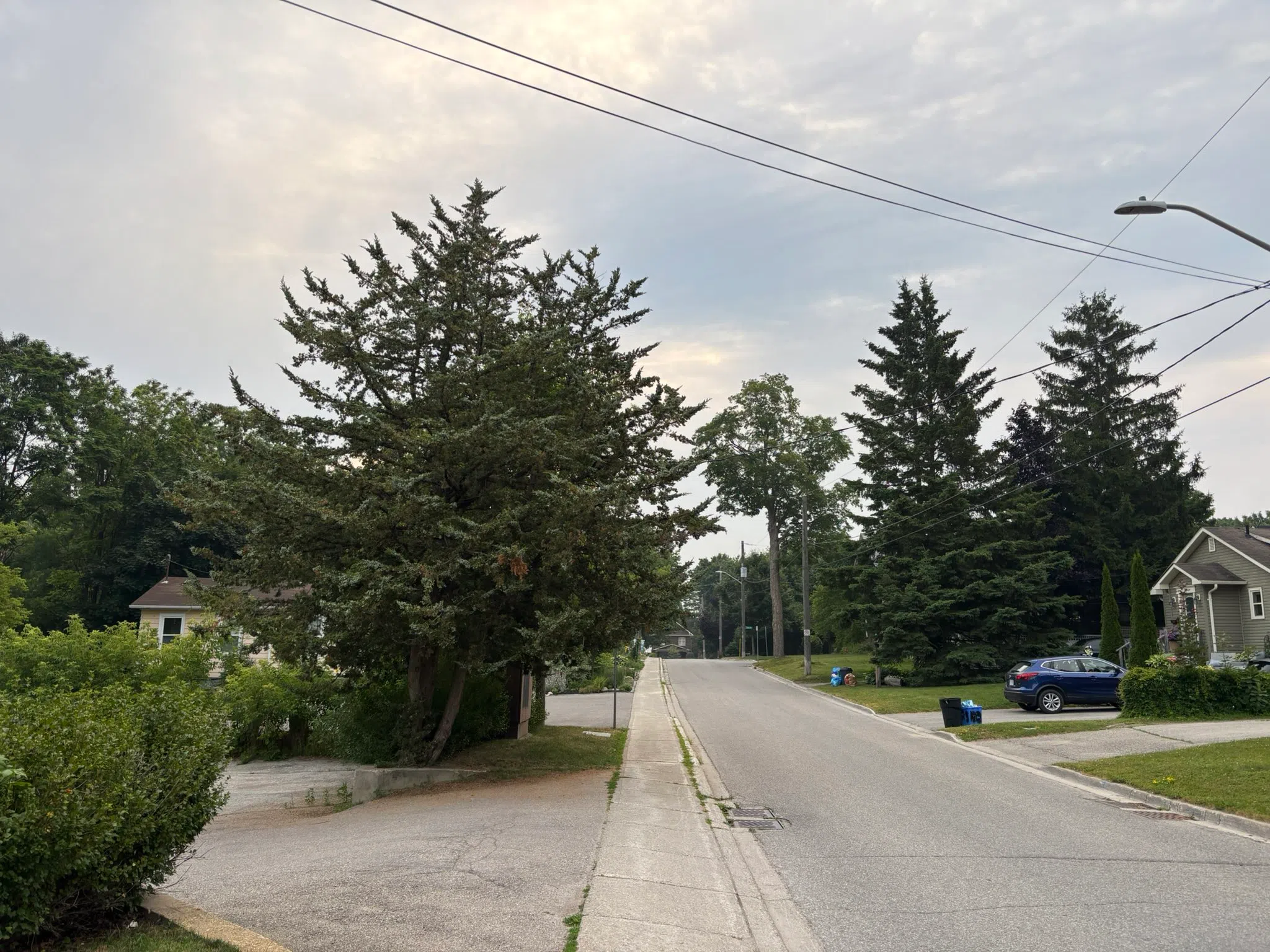 South Simcoe forecast for Monday, July 14th