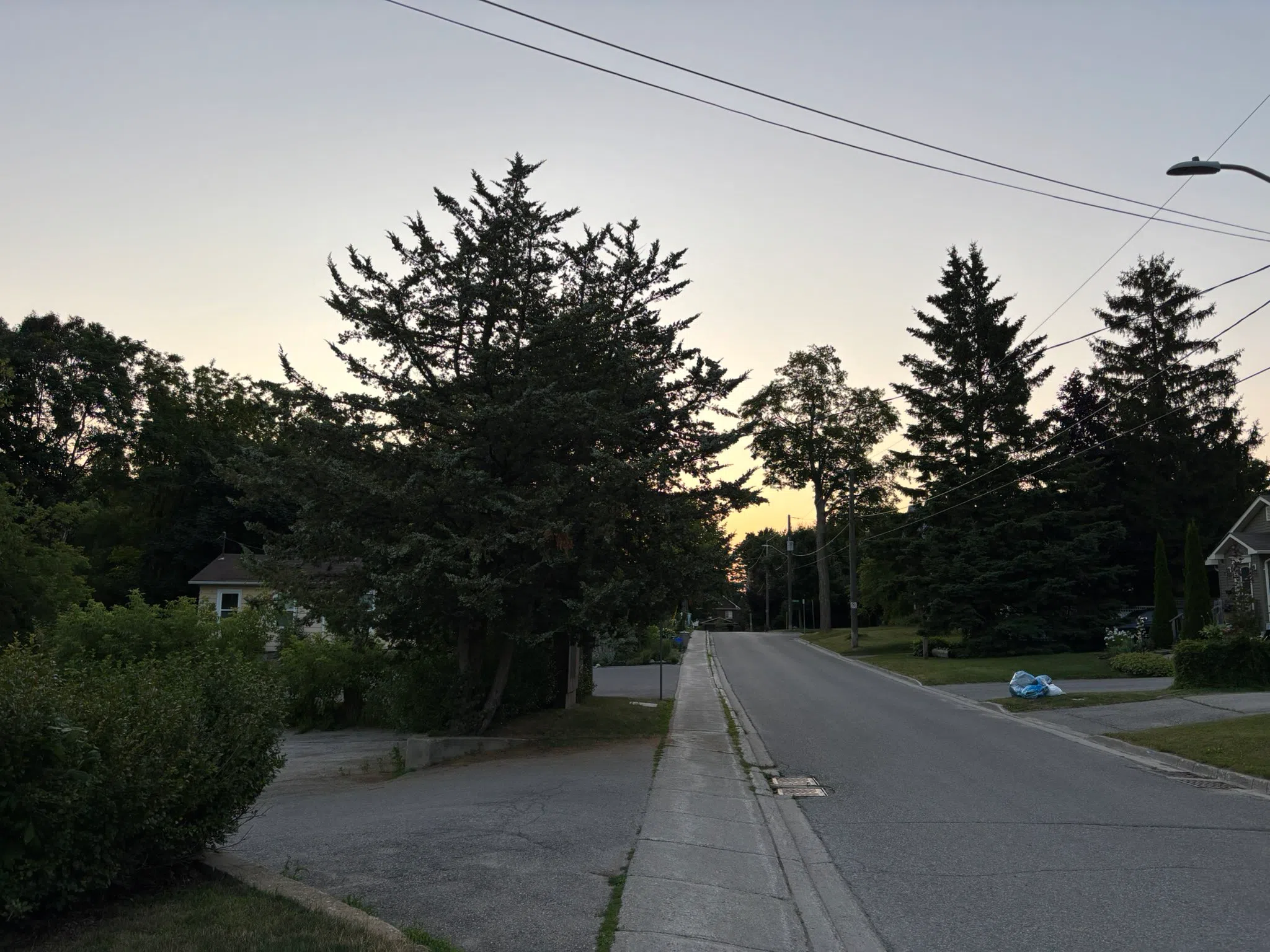 South Simcoe forecast for Monday, July 21st