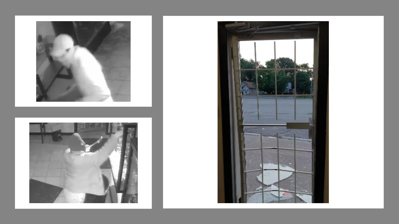 Break & Enter at Local Business