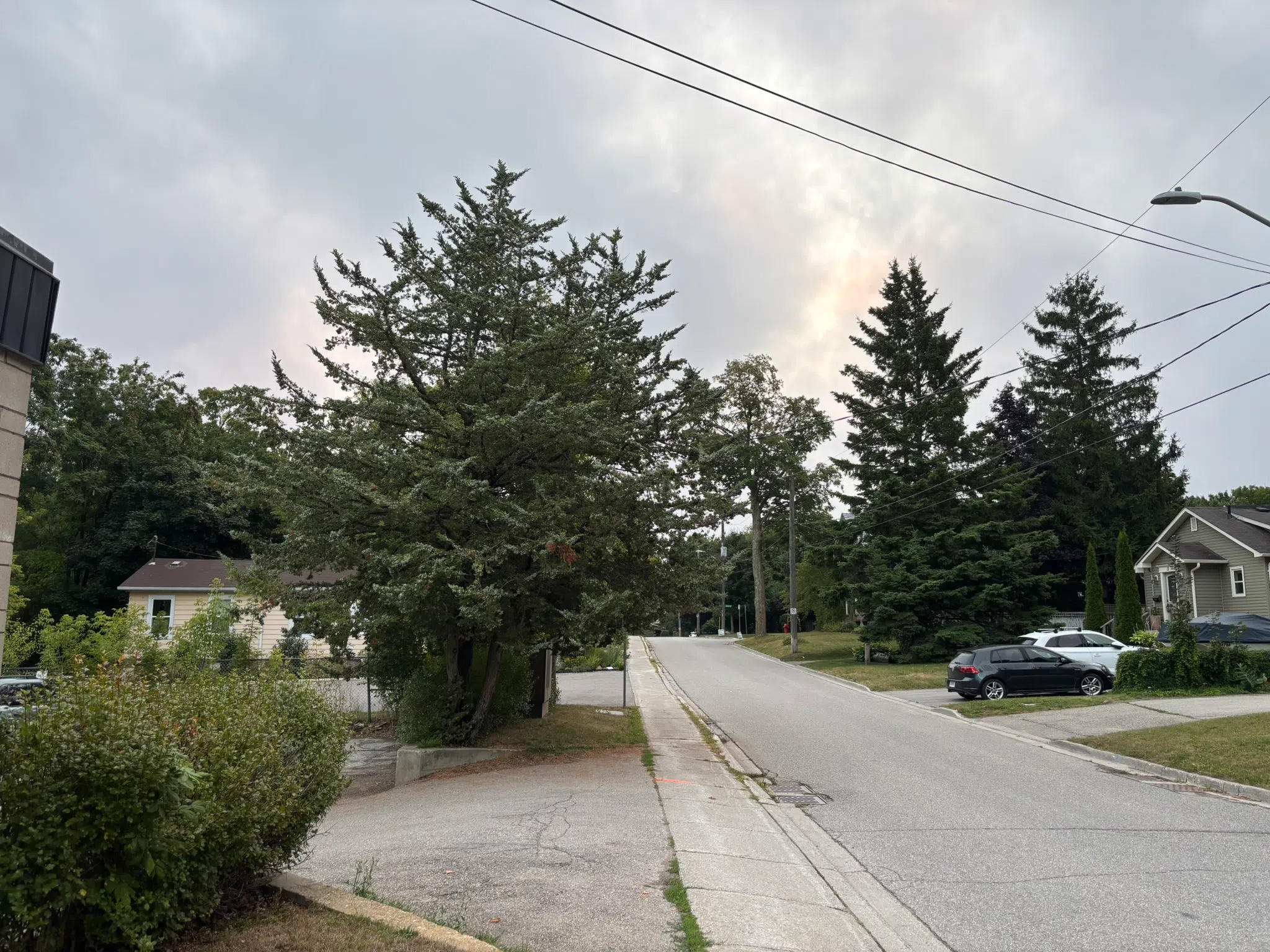 South Simcoe forecast for Thursday, August 21st