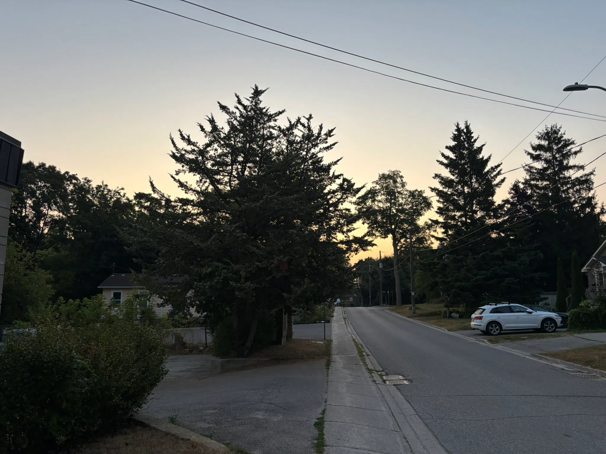 South Simcoe forecast for Friday, August 15th