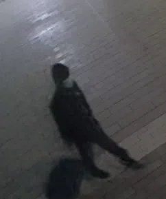 South Simcoe Police looking for suspect following Innisfil fires