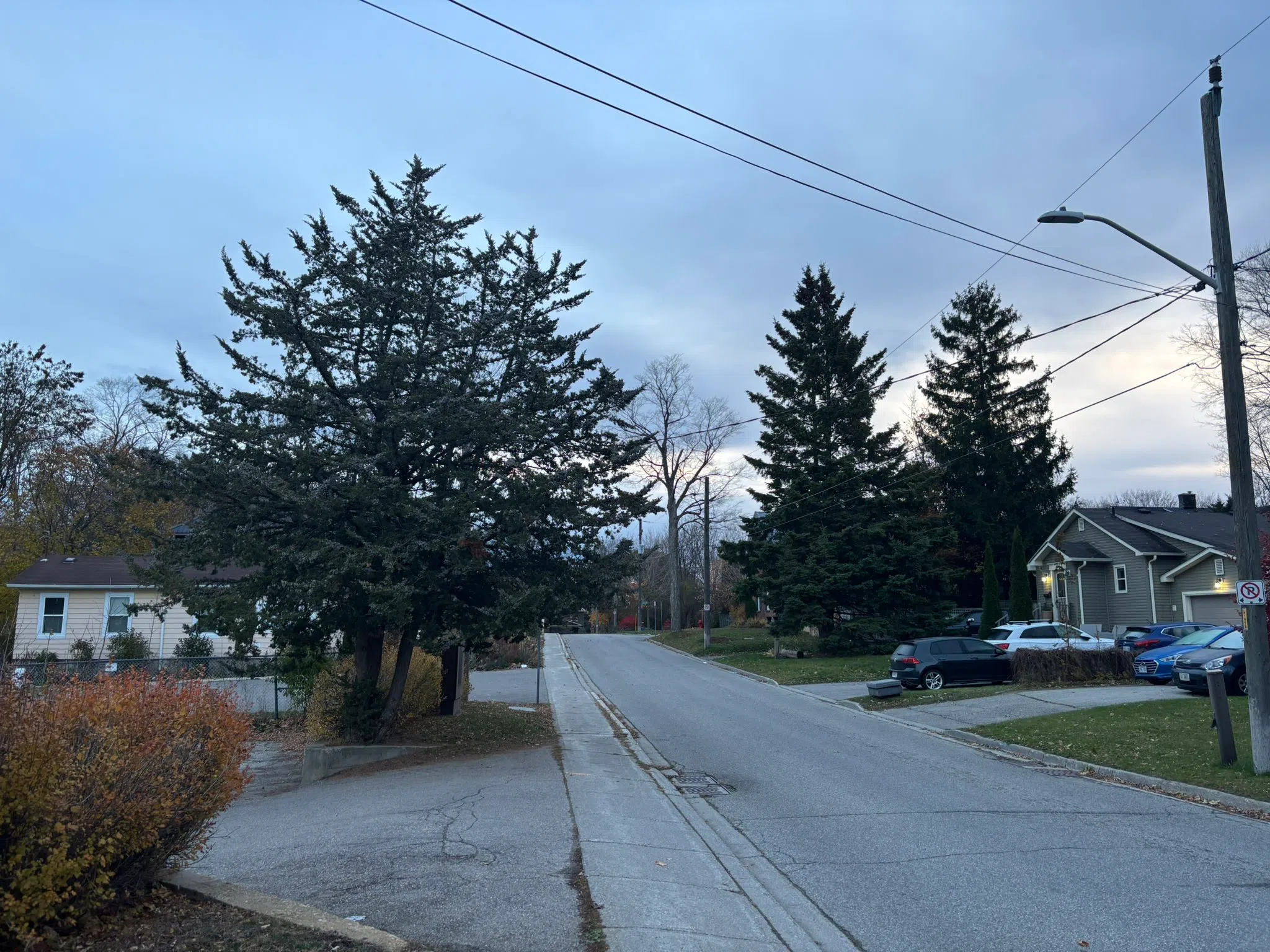 South Simcoe forecast for Friday, November 7th